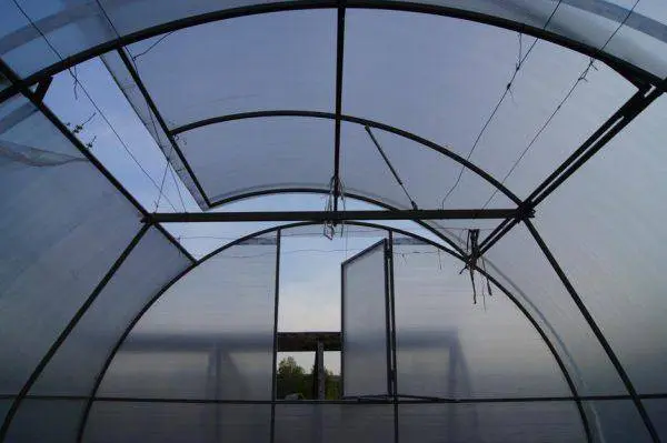 Polycarbonate greenhouse with opening roof 