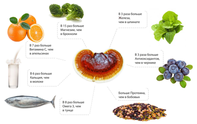 Polypore varnished (Reishi mushroom, Ganoderma): medicinal properties and contraindications, photo and description, reviews of doctors in oncology