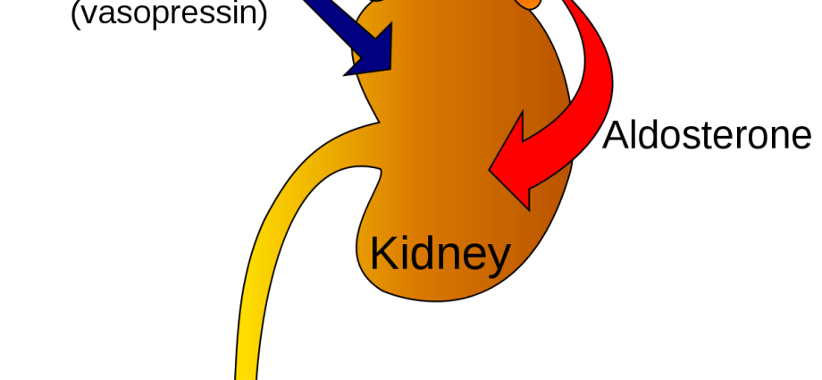 Polyuria &#8211; definition, hormonal factors, diagnosis, treatment