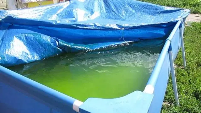 pool cover