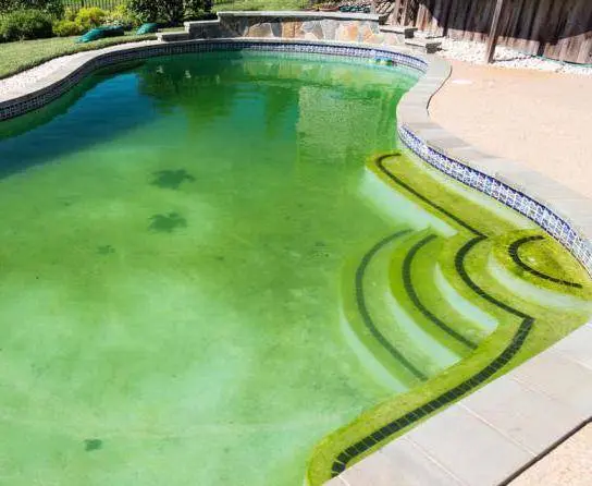 Pool tablets to keep the water from blooming