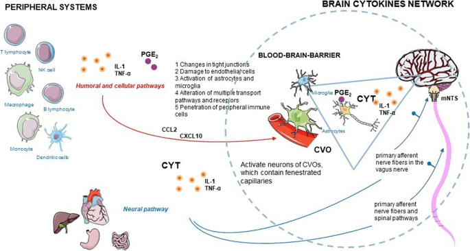 Poor sleep promotes resistant arterial hypertension