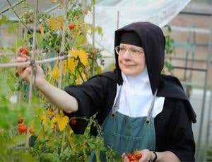 Pope Francis suffers from the &#8220;disease of nuns&#8221;. What is it, can it be cured?