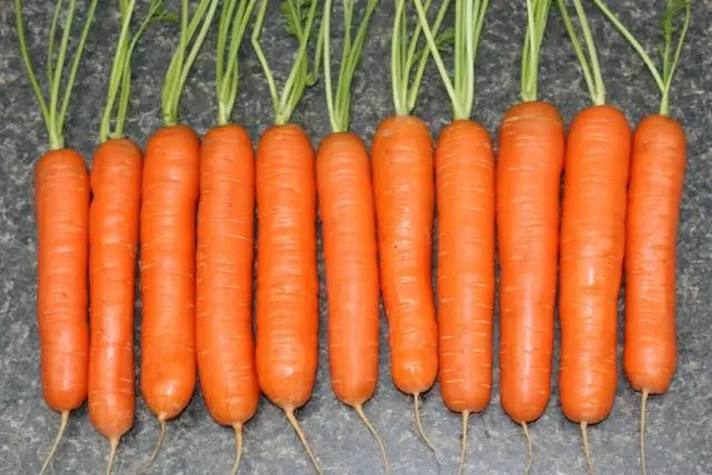 Popular varieties of carrots