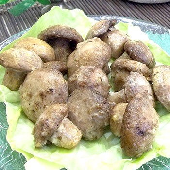 Porcini mushrooms baked in the oven