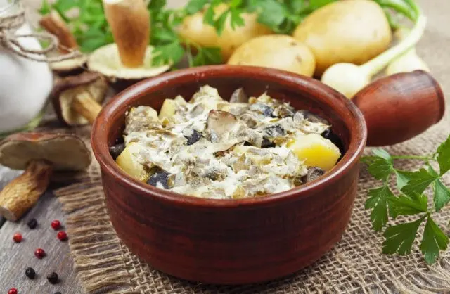 Porcini mushrooms in sour cream: fried and stewed, delicious recipes