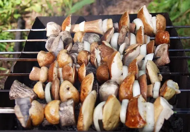 Porcini mushrooms on the grill: barbecue recipes