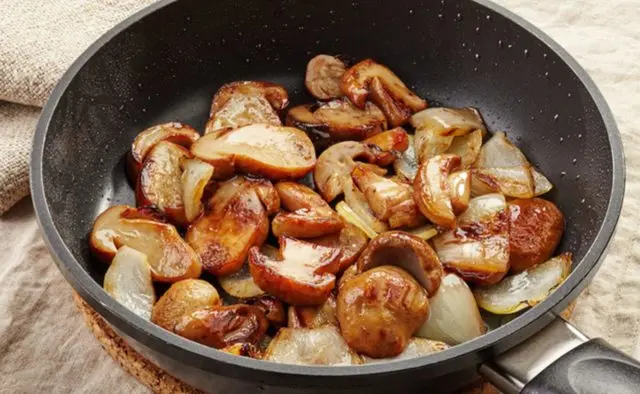 Pork with porcini mushrooms: in the oven, slow cooker