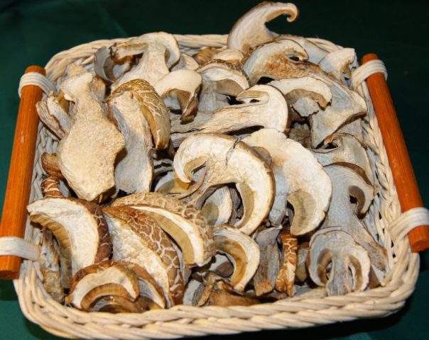 Pork with porcini mushrooms: in the oven, slow cooker