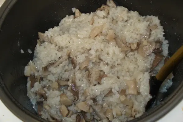 Porridge and risotto with mushrooms: cooking recipes