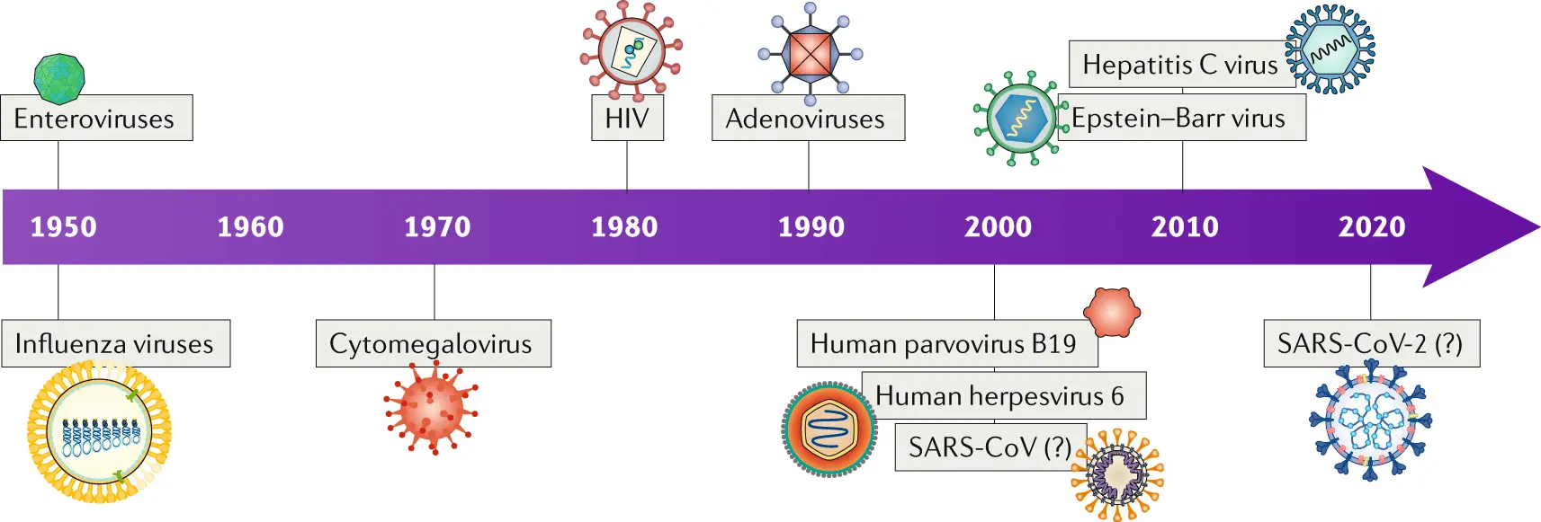 Post-vaccination myocarditis in children &#8211; how often does it happen? New data