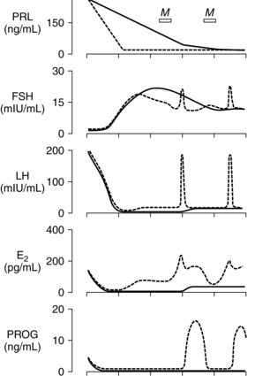 Postpartum hormones &#8211; concentration, lactation, first menstruation