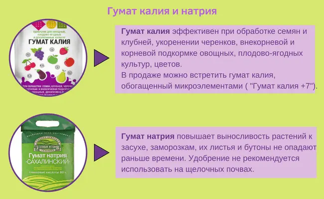 Potassium humate: instructions for use (vegetable, green, fruit and berry, garden, indoor plants) + varieties