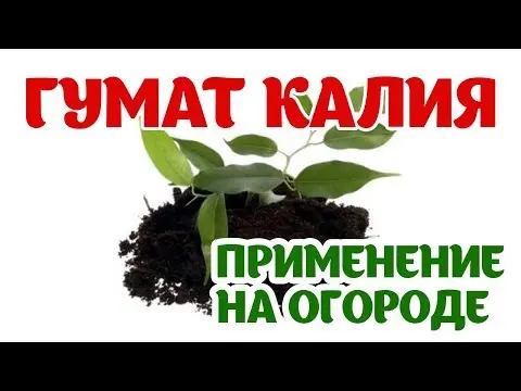 Potassium humate: instructions for use (vegetable, green, fruit and berry, garden, indoor plants) + varieties