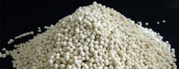 Potassium magnesia fertilizer: application in horticulture