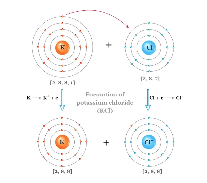 Potassium salt &#8211; composition, occurrence, sources, application