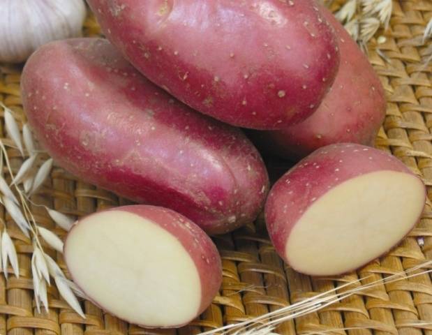 Potato Azhur