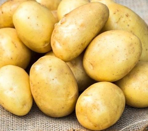 Potato Banba: variety description, reviews