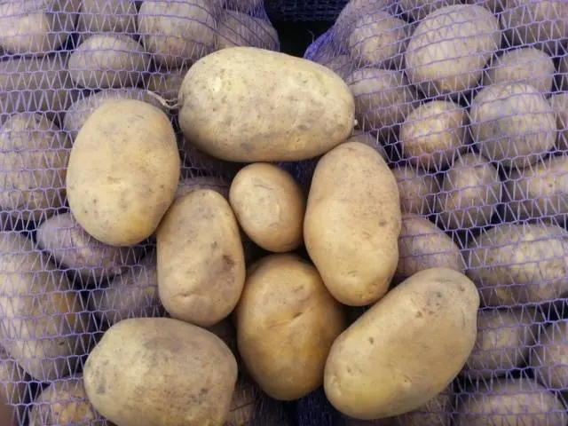 Potato Breeze: variety characteristics