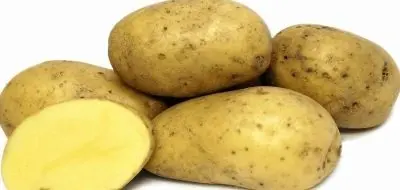 Potato Breeze: variety characteristics