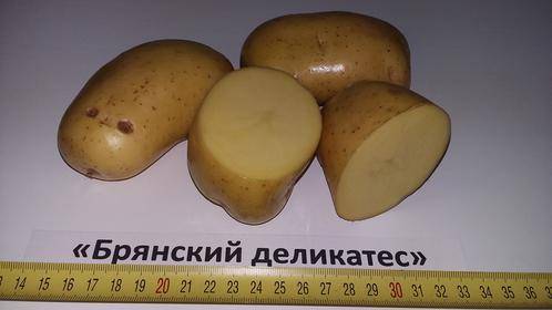 Potato Bryansk delicacy