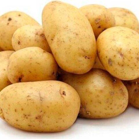 Potato cancer: a photo, what it looks like, what is dangerous for humans