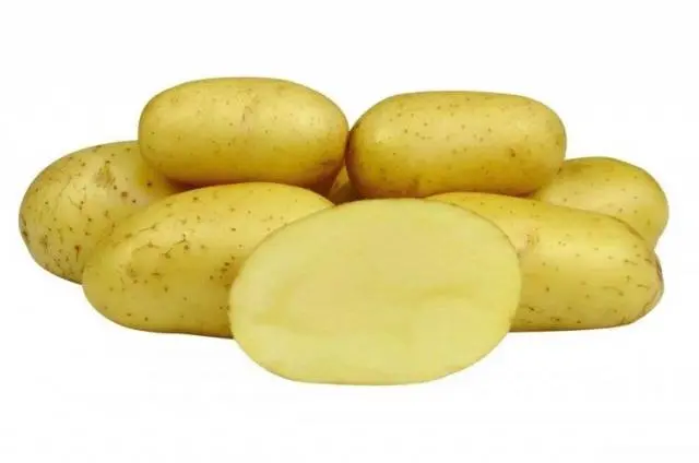 Potato Colette: characteristics, planting and care