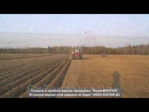 Potato cultivation technology for a better harvest