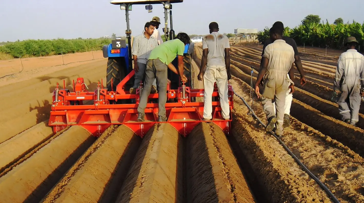 Potato cultivation technology for a better harvest