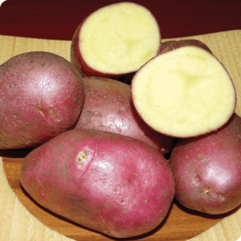 Potato Deva: variety description, reviews