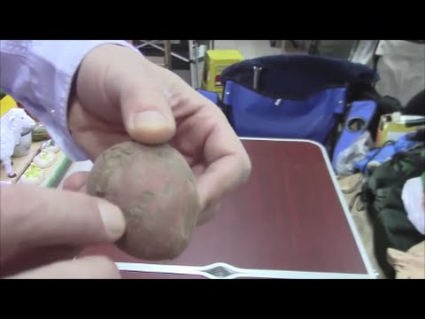 Potato diseases and control