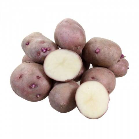 Potato Handsome: characteristics, planting and care