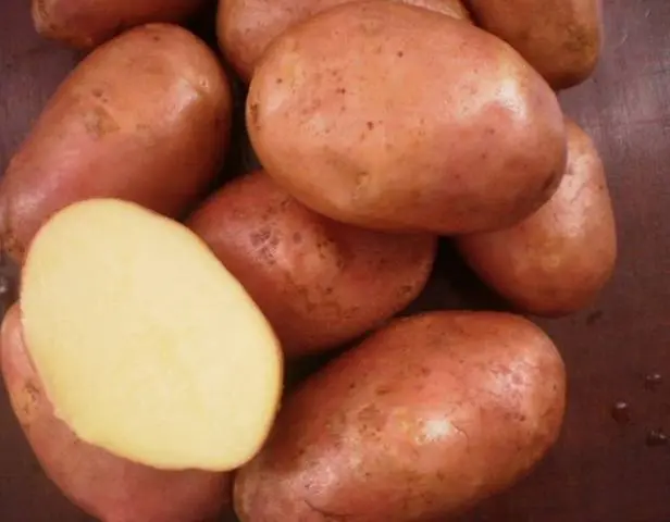 Potato Ilyinsky