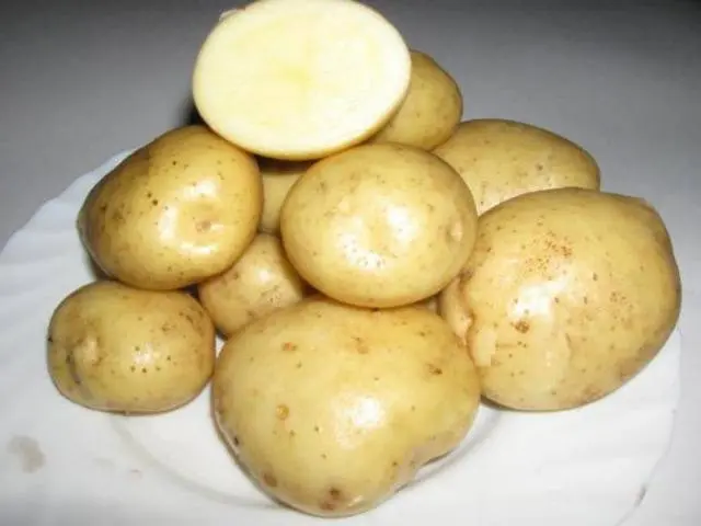 Potato Kolobok