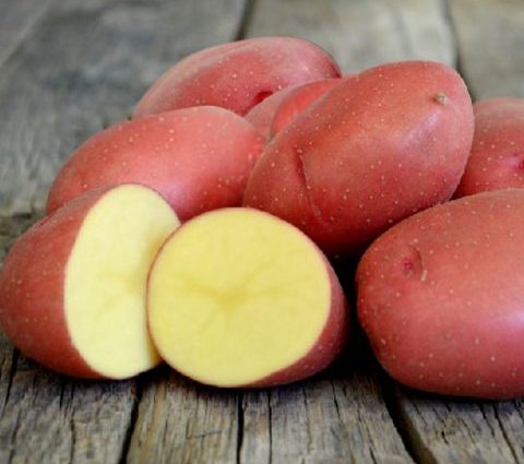 Potato Krasa: variety description, photo