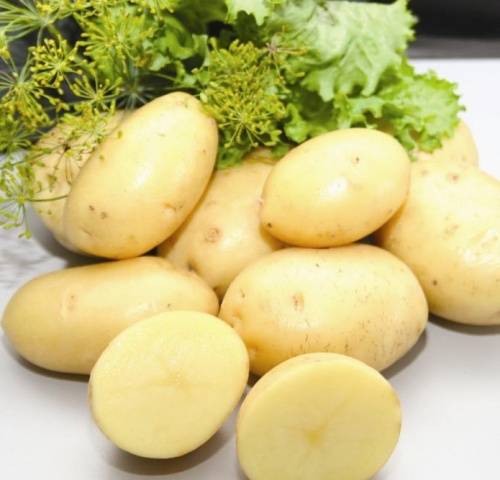 Potato Lady Claire: characteristics of the variety, reviews