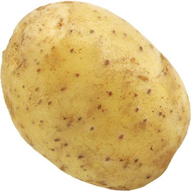 Potato Lady Claire: characteristics of the variety, reviews