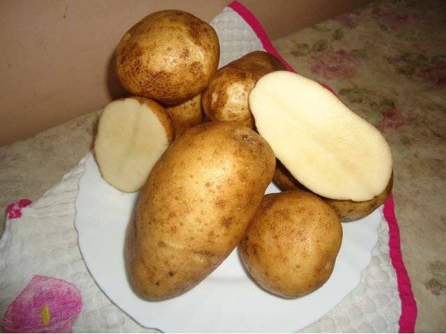 Potato Luck