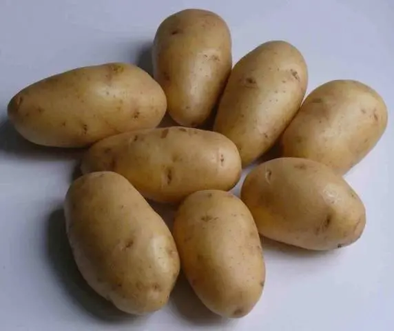 Potato Nevsky