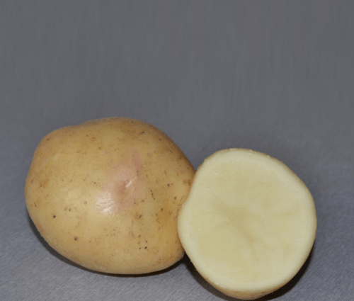 Potato Nevsky