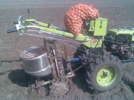 Potato planter: walk-behind tractor dimensions