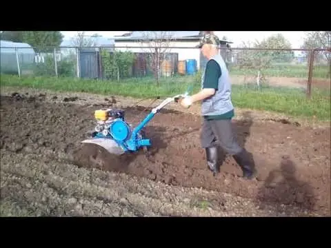 Potato planting technology: overview, types and advantages
