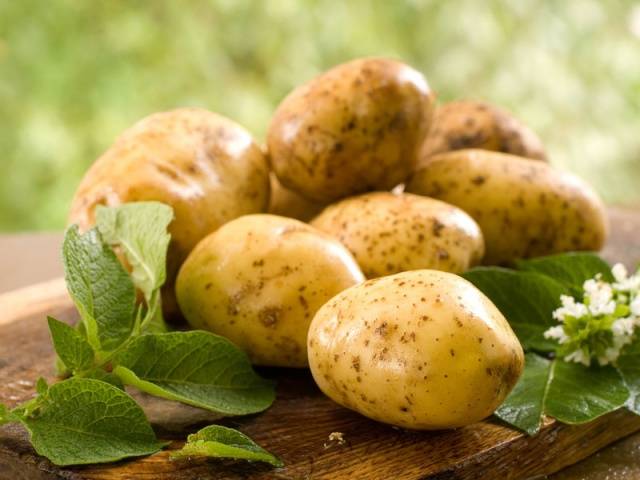 Potato Queen Anne