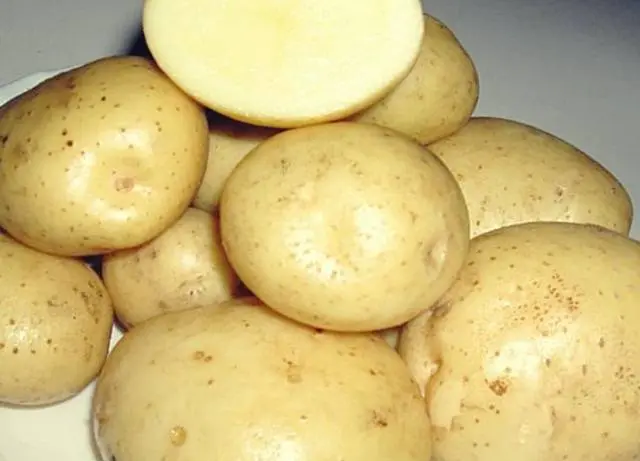 Potato Sante