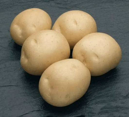 Potato Sifra