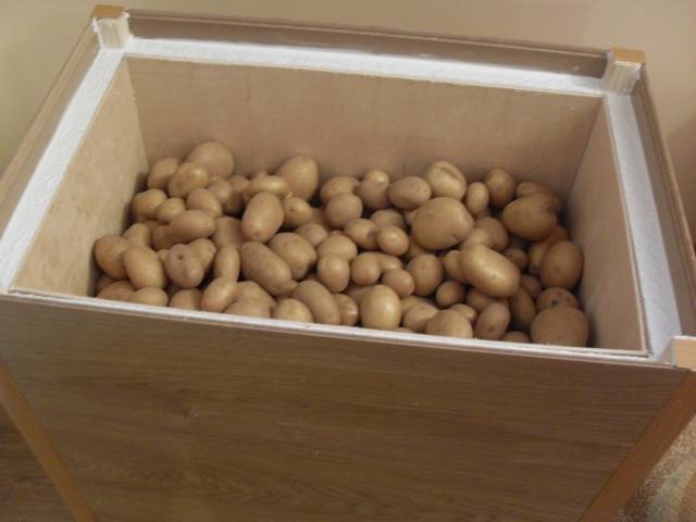 Potato storage conditions 