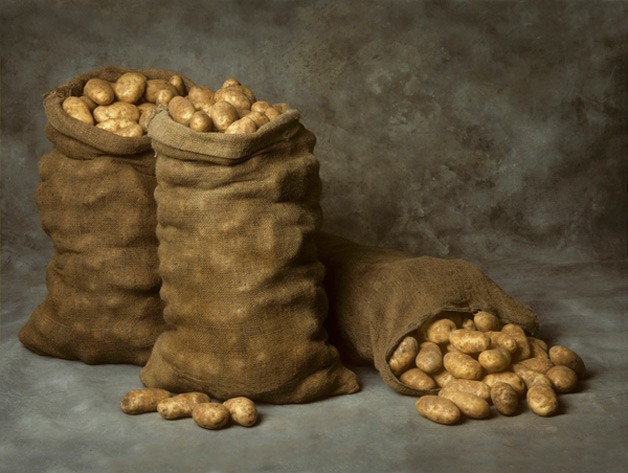 Potato storage: methods and correct conditions for laying