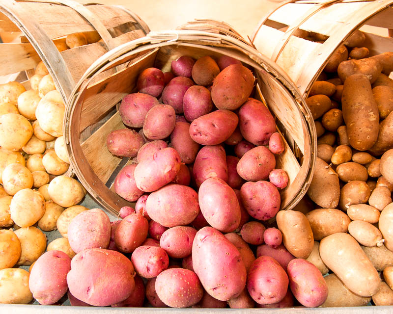 Potato storage: methods and correct conditions for laying