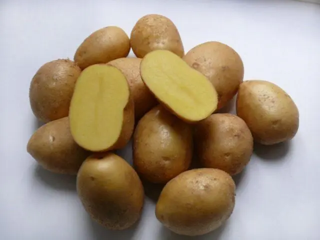 Potato varieties with yellow flesh