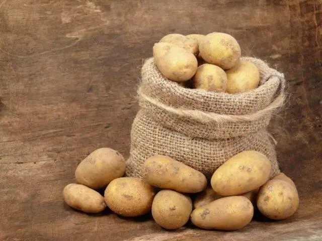 Potato varieties with yellow flesh